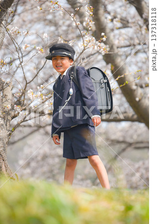 小学生、通学路、男の子 137318118