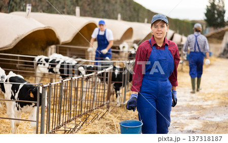 Farmer woman stands with bucket at cow farm Farmer woman stands with bucket at cow farm 137318187