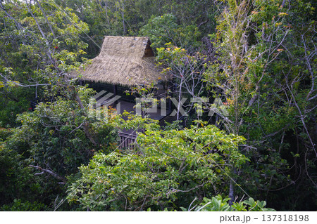 View of a wooden gazebo with a thatched roof in a dense rainforest on Hainan Island in China View of a wooden gazebo with a thatched roof in a dense rainforest on Hainan Island in China 137318198