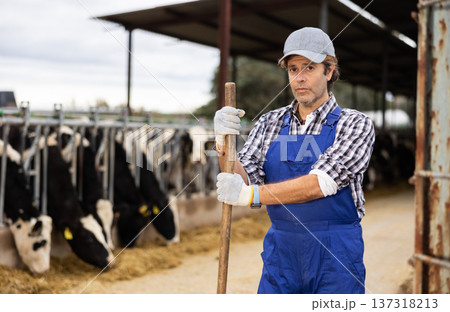 Portrait of positive male farm worker in cowshed Portrait of positive male farm worker in cowshed 137318213