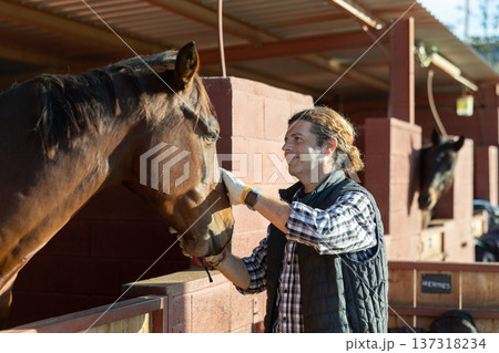 Man combing and brushing a horse at the stable on sunny day 137318234