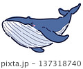 泳ぐシロナガスクジラのイラスト 137318740