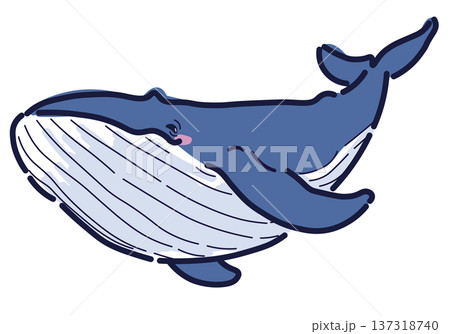泳ぐシロナガスクジラのイラスト 137318740