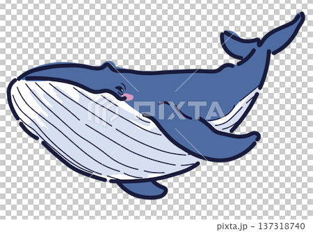 泳ぐシロナガスクジラのイラスト 137318740