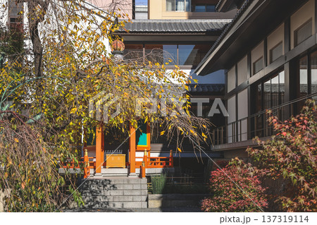 Nov 29 2025 Historic Rokkaku do Temple in Central Kyoto Japan Nov 29 2025 Historic Rokkaku do Temple in Central Kyoto Japan 137319114