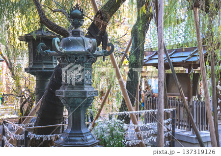 Nov 29 2025 Historic Rokkaku do Temple in Central Kyoto Japan Nov 29 2025 Historic Rokkaku do Temple in Central Kyoto Japan 137319126