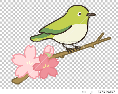 桜の枝にとまるメジロのイラスト 137319837