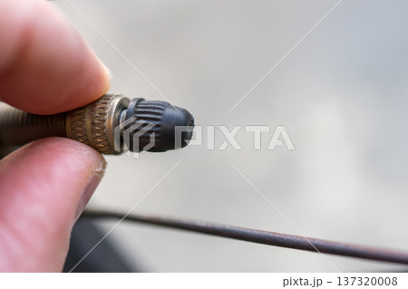 自転車の英式バルブキャップ 137320008