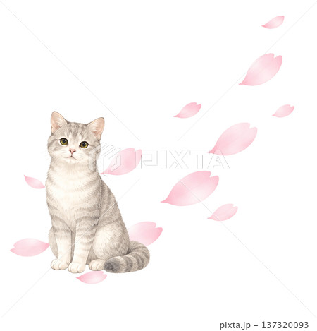 桜の花びらと猫 水彩イラスト 春のかわいい動物素材 137320093