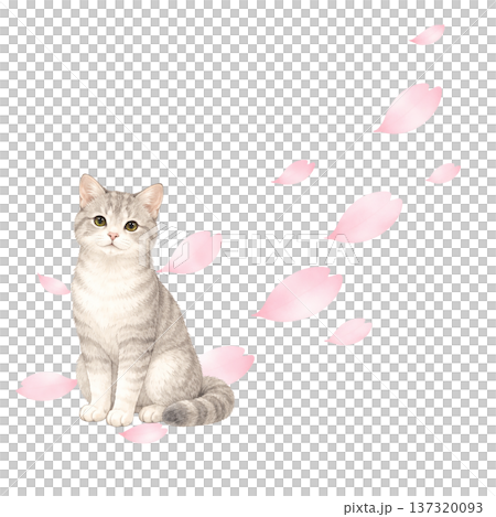 桜の花びらと猫 水彩イラスト 春のかわいい動物素材 137320093