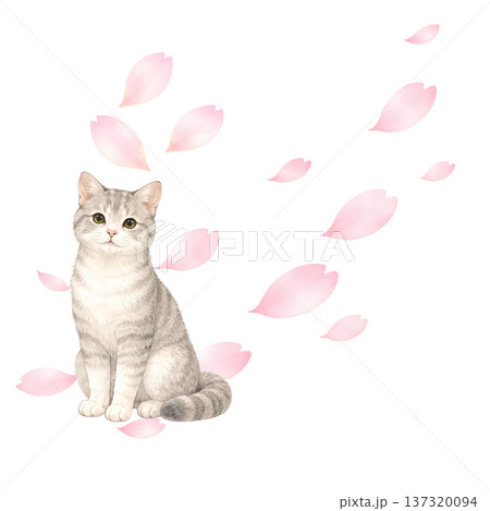 桜の花びらと猫 水彩イラスト 春のかわいい動物素材 137320094
