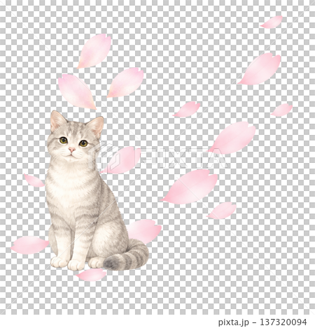 桜の花びらと猫 水彩イラスト 春のかわいい動物素材 137320094