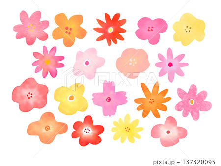 ふんわりとした花の素材 137320095