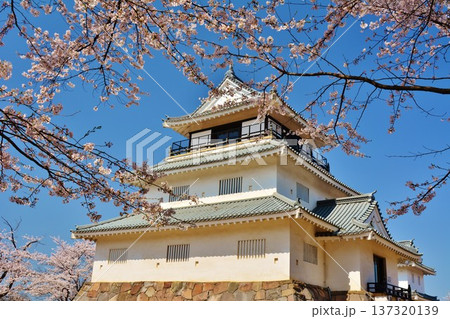 満開に咲く長岡城の桜 満開に咲く長岡城の桜 137320139