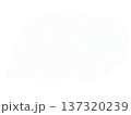 白の水彩テクスチャ 137320239