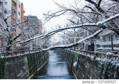 雪が降り積もる目黒川の桜並木と冬の風景(東京都目黒区) 雪が降り積もる目黒川の桜並木と冬の風景(東京都目黒区) 137320327