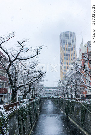 雪が降る目黒川と中目黒アトラスタワーの縦構図(東京都目黒区) 雪が降る目黒川と中目黒アトラスタワーの縦構図(東京都目黒区) 137320328
