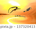 水鳥の戯れる霞ケ浦の初日の出 137320413