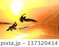 水鳥の戯れる霞ケ浦の初日の出 137320414