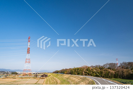 田園の中に立つ鉄塔と木津川堤防上のサイクリングロード　京都府京田辺市 137320424