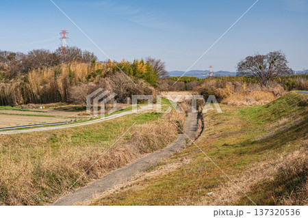 木津川風景　木津川にそそぐ支流　京都府京田辺市 137320536