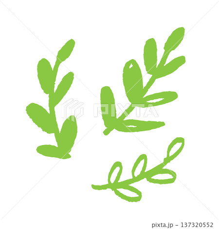 手描きグリーン植物の葉と枝のボタニカルイラスト ナチュラル自然デザイン素材 手描きグリーン植物の葉と枝のボタニカルイラスト ナチュラル自然デザイン素材 137320552
