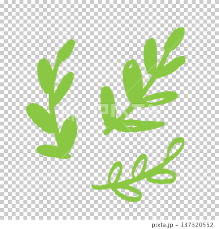 手描きグリーン植物の葉と枝のボタニカルイラスト ナチュラル自然デザイン素材 手描きグリーン植物の葉と枝のボタニカルイラスト ナチュラル自然デザイン素材 137320552
