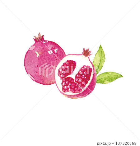 柘榴　水彩イラスト 137320569