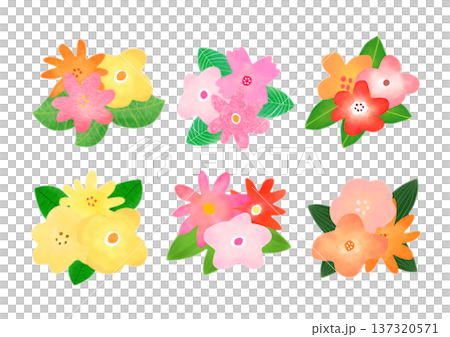 五顏六色的花圖 五顏六色的花圖 137320571