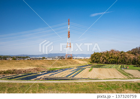 木津川河川敷の野菜畑 京都府京田辺市 木津川河川敷の野菜畑 京都府京田辺市 137320759