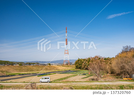 木津川河川敷の野菜畑 京都府京田辺市 木津川河川敷の野菜畑 京都府京田辺市 137320760