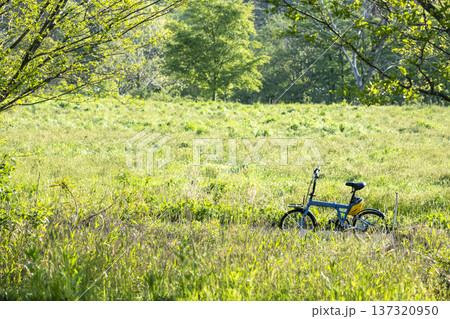 新緑・初夏のサイクリングイメージ (蒜山高原) 新緑・初夏のサイクリングイメージ (蒜山高原) 137320950
