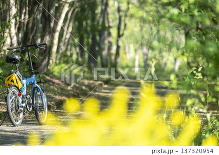 新緑・初夏のサイクリングイメージ　（蒜山高原） 137320954