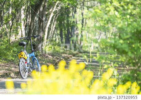 新緑・初夏のサイクリングイメージ　（蒜山高原） 137320955