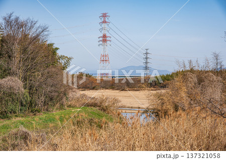 木津川風景 京都府京田辺市 城陽市 木津川風景 京都府京田辺市 城陽市 137321058