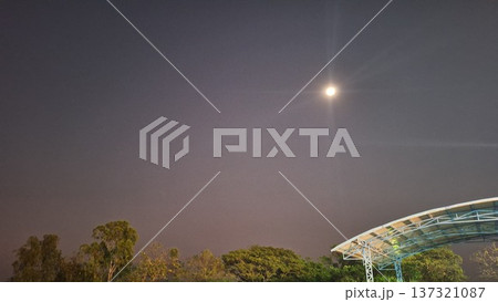A glowing full moon illuminates the dark night sky above green treetops and steel structures. A glowing full moon illuminates the dark night sky above green treetops and steel structures. 137321087