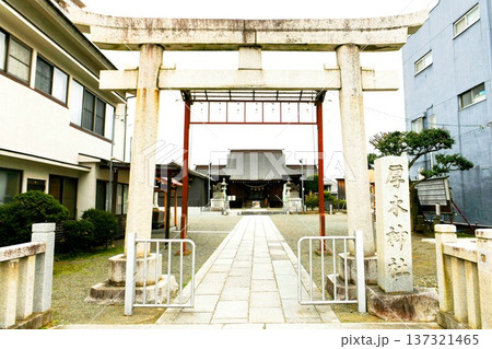 【厚木市　旧厚木村の鎮守「厚木神社」鳥居と参道】 137321465