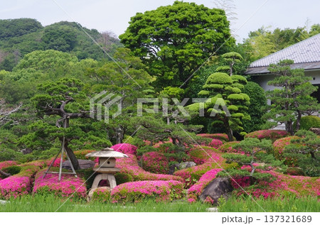 南楽園　1 137321689