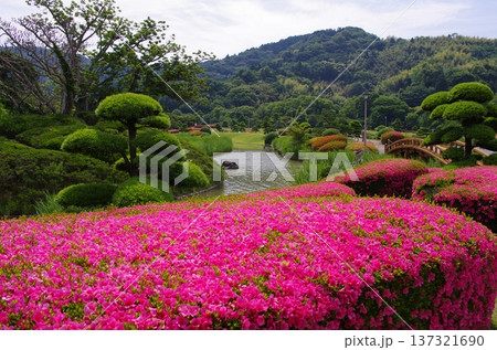 南楽園　2 137321690