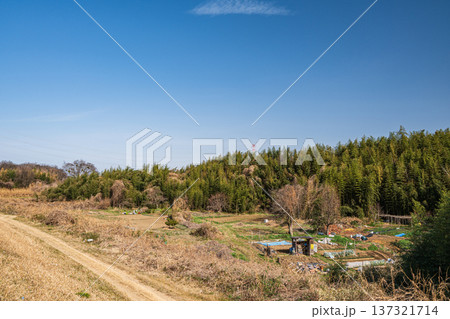 木津川河川敷の農園 京都府京田辺市 木津川河川敷の農園 京都府京田辺市 137321714