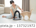 Peaceful asian woman sits on floor at home looking at friendly pet cat playing with scratching arch promoting mental health and wellness through animal companionship 137321972