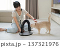 Young asian woman playing with pet cat at home supporting mental health wellness showing friendly emotion sitting on floor with toy arch groomer relaxing indoor environment feeling joyful 137321976