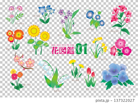 花図鑑01_イラスト素材 137322027