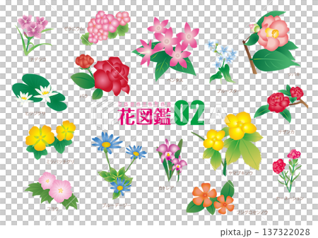 Flower encyclopedia 02_Illustration material Flower encyclopedia 02_Illustration material 137322028
