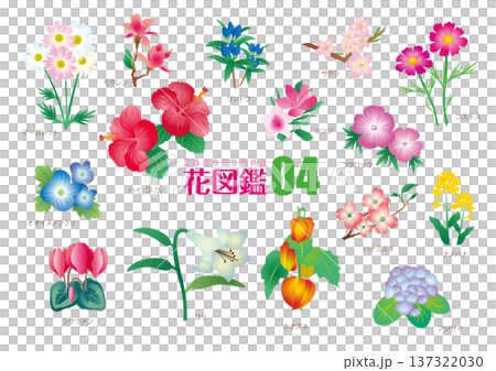 Flower encyclopedia 04_Illustration material Flower encyclopedia 04_Illustration material 137322030