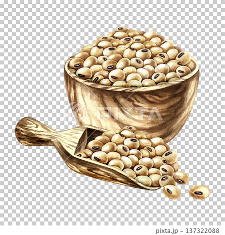 Soybeans in a wooden bowl and scoop. Hand-drawn watercolor illustration. Perfect for creating product labels, posters, banners, menus, and more. 137322088