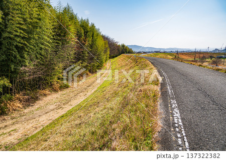 木津川堤防上のサイクリングロード　京奈和自転車道　京都府京田辺市 137322382