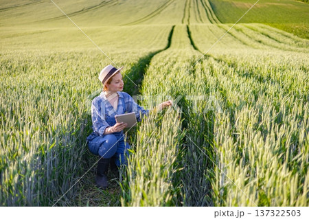 A woman in a hat and overalls crouches in a lush green wheat field, examining crops while holding a tablet computer A woman in a hat and overalls crouches in a lush green wheat field, examining crops while holding a tablet computer 137322503