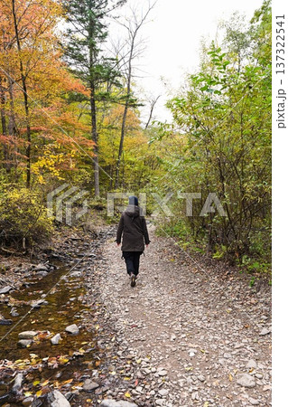 Woman walking away along forest path during autumn solo hike. Back view, calm wellness travel, peaceful journey and mindful rest in nature. Woman walking away along forest path during autumn solo hike. Back view, calm wellness travel, peaceful journey and mindful rest in nature. 137322541