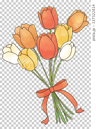 一束用絲帶紮著的鬱金香 一束用絲帶紮著的鬱金香 137322814
